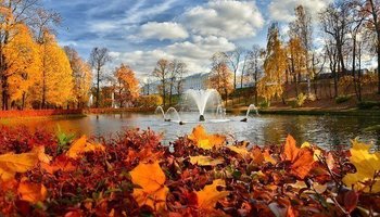 Какие пригородные парки отменяют плату за вход осенью 
