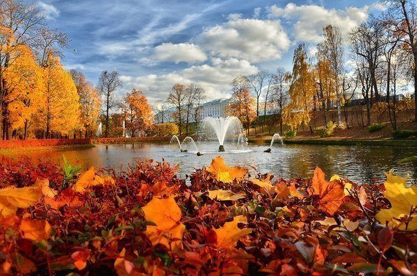Гатчина Парк Фото Осенью
