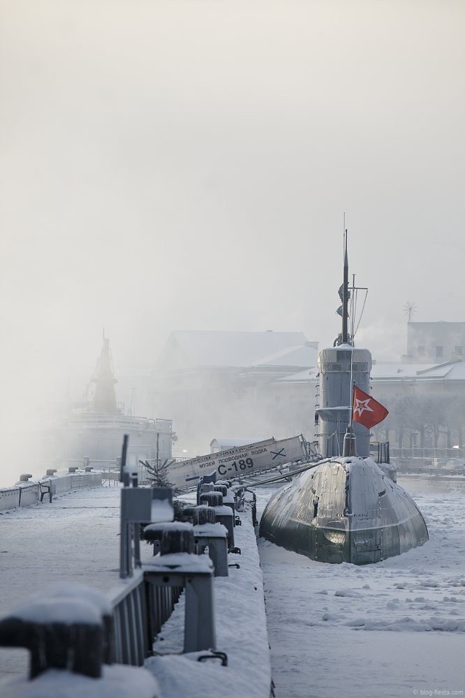 Фото: Антон Ваганов
