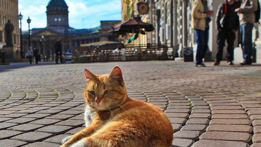 Бабье лето в Северной столице: 19 сентября в Петербурге стало самым тёплым за 68 лет