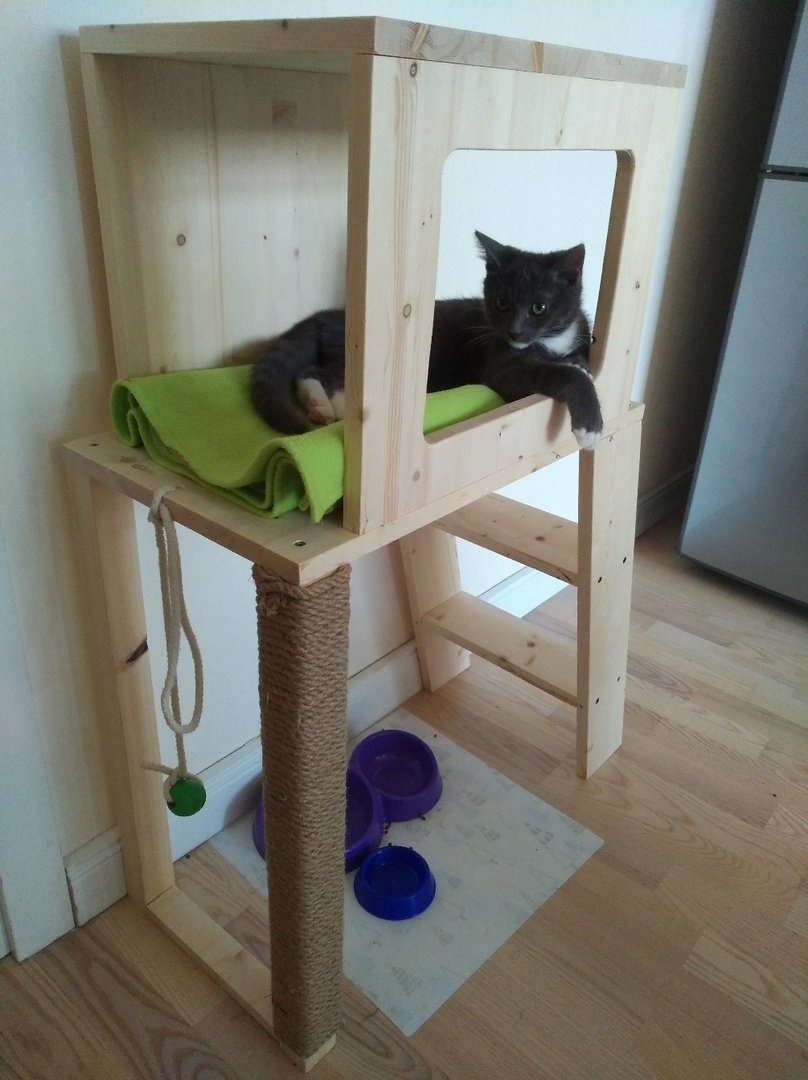 Мастер-класс «Лесенки для кошек из приюта» 
