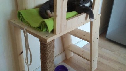 Мастер-класс «Лесенки для кошек из приюта»  — фото 1