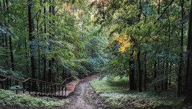 Природа рядом: Экотропы вокруг Петербурга
