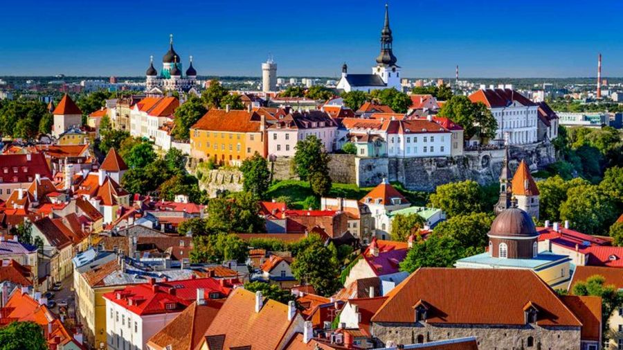 Из Петербурга можно бесплатно поехать в Таллин, города Беларуси и Ленобласти