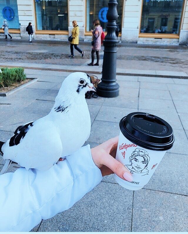 Кафе в питере где рисуют портрет на стаканчике