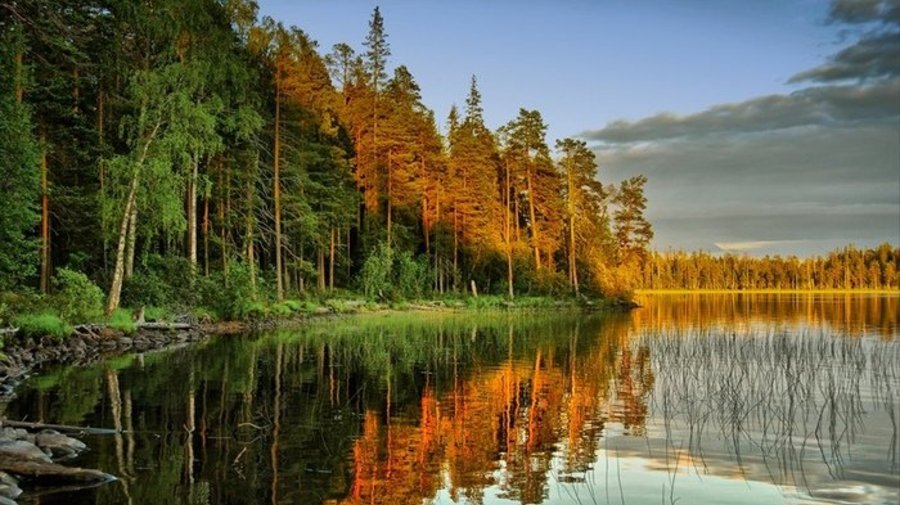 Марциальные Воды