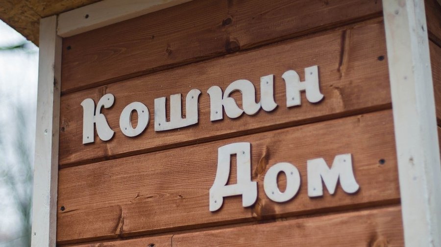 В петербургском дворе появился «Кошкин дом»