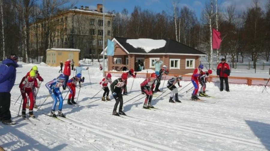 Парголово