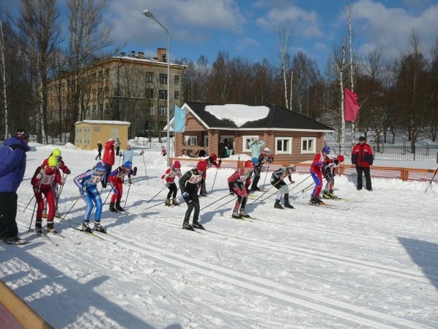 Парголово