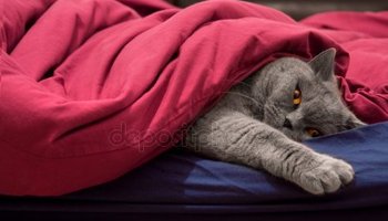 Как побороть зимнюю усталость, советы от учёных