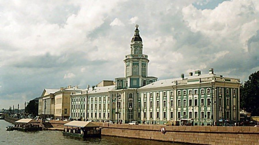 «Дерево-монстр»