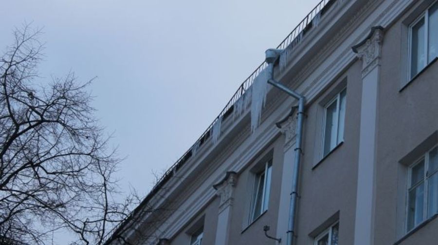 Сколько петербуржцев уже пострадало от плохой уборки в городе