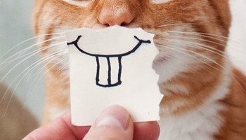 Как сохранить хорошее настроение в пасмурную погоду — советы специалистов