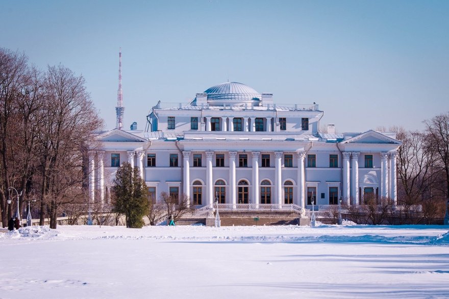 Лесной каток в ЦПКиО: бесплатные хелперы, яркая фотозона и ...