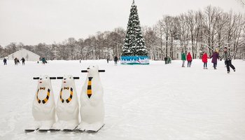 Лесной каток в ЦПКиО: бесплатные хелперы, яркая фотозона и чарджеры для гаджетов