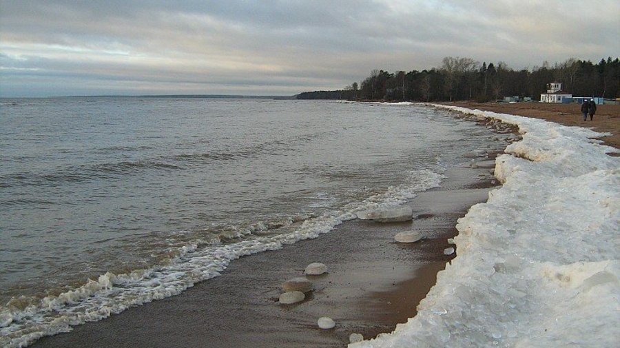 Парк и пляж в Зеленогорске