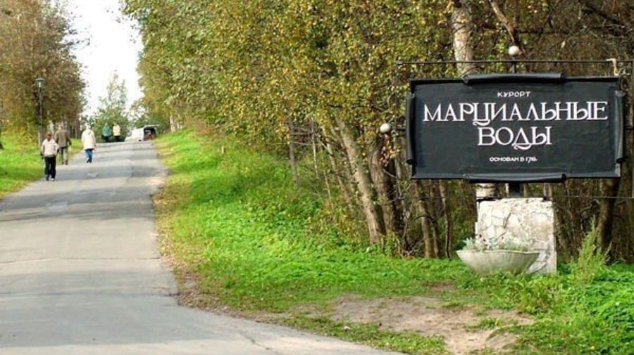 Загородная поездка: из Петербурга к марциальным водам