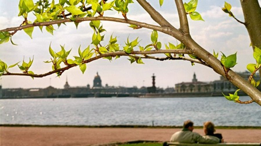 Главный синоптик Петербурга рассказал о скором наступлении весны