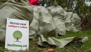 Спасатели природы: петербуржцы устраивают экопоходы, убирая мусор, который раскидали неряшливые отдыхающие