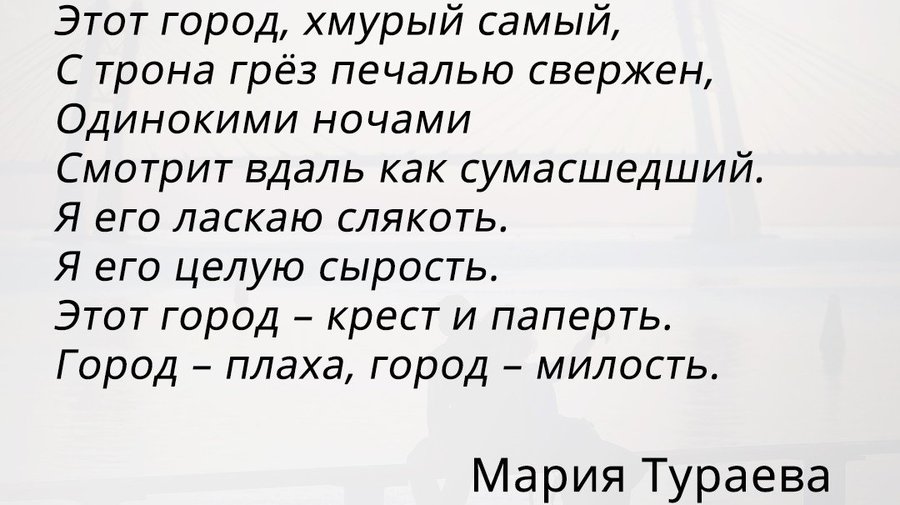 На автобусных остановках Петербурга разместят стихи молодых поэтов