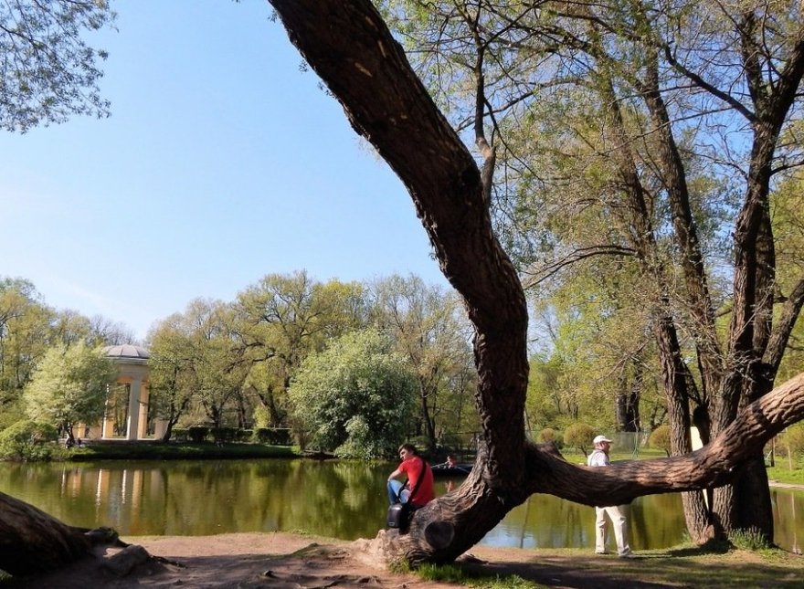 План парка екатерингоф спб