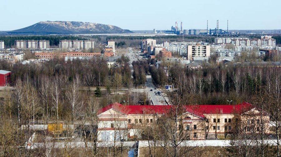Сланцы