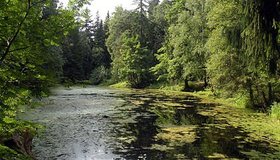 Шуваловский парк