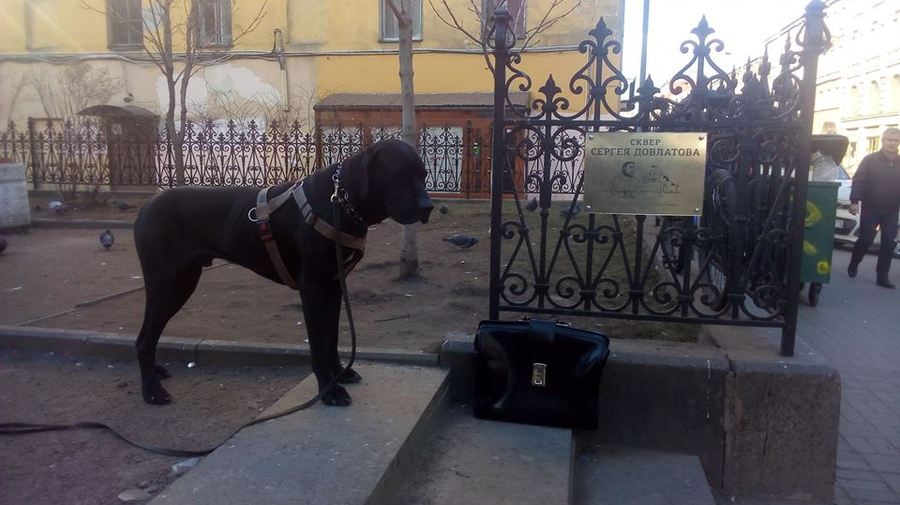 Пенсионер и учитель из Петербурга за свой счёт установили табличку в сквере Сергея Довлатова