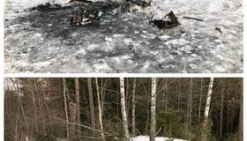 Петербуржцы выкладывают фотографии города до и после уборки в рамках нового флешмоба 