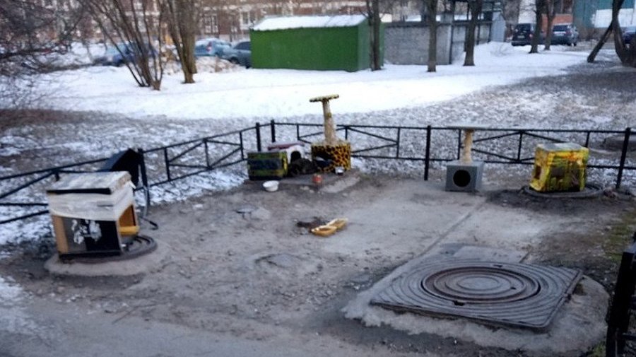 В Приморском районе построили городок для бездомных кошек