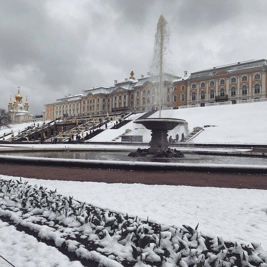 Прогноз погоды в петергофе. Снегопад в Петергофе. Заснеженный фонтан Петергофа. Фонтаны Петергофа под снегом. Снежный Петергоф.