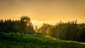 Любой желающий сможет бесплатно получить землю в Ленобласти. Взамен нужно будет вернуть жизнь в заброшенные территории