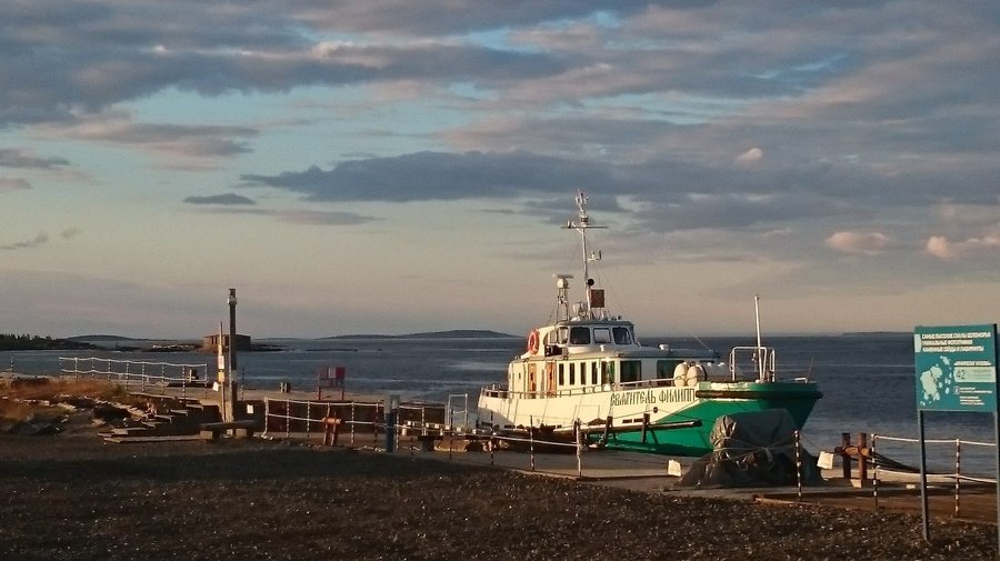 Из Петербурга к Белому морю запустят «Ласточки»