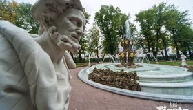 В Петербурге начали открывать городские сады после просушки