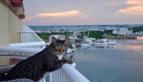 Половине петербуржцев приходится работать во время отпуска