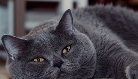 В правительстве решили продлить майские праздники