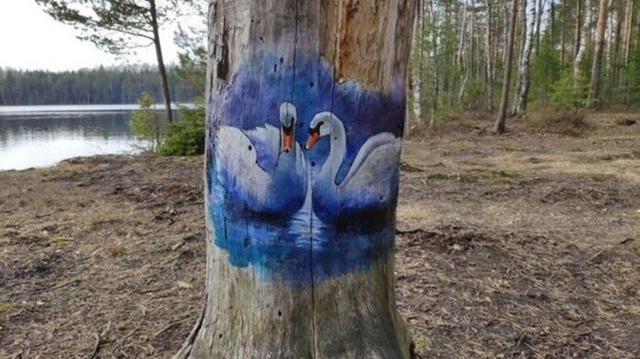 В Парголово креативно раскрасили деревья