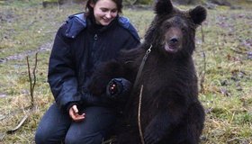 16 петербургских медведей страдают без яблок и груш