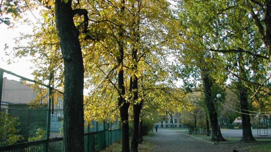 Как всё начиналось