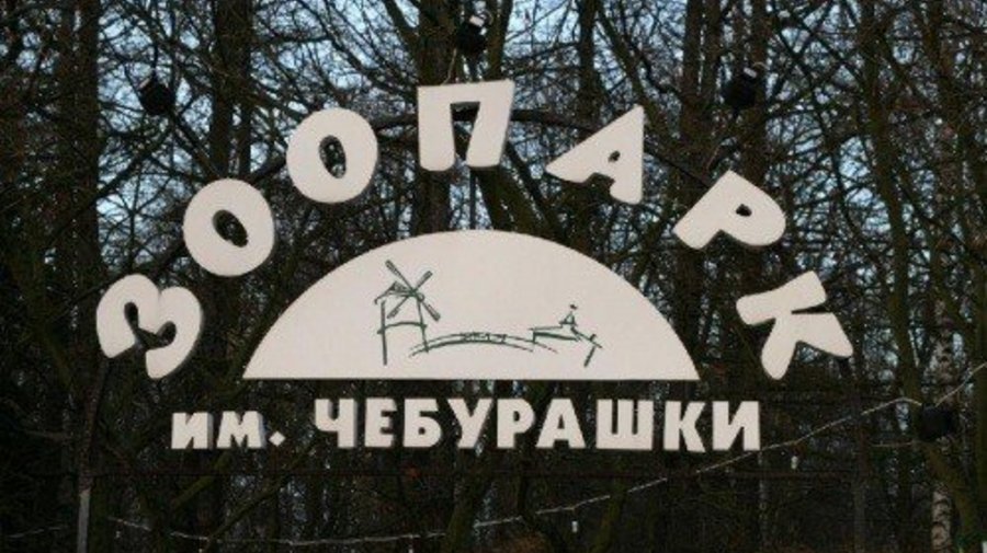 Зоопарк имени Чебурашки