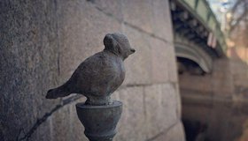 Кунсткамера и Чижик-Пыжик попали в список худших достопримечательностей Петербурга