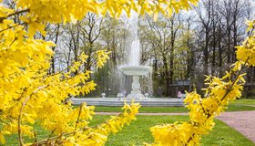 На вокзалах в Царском Селе и Зеленогорске открыли велопрокат