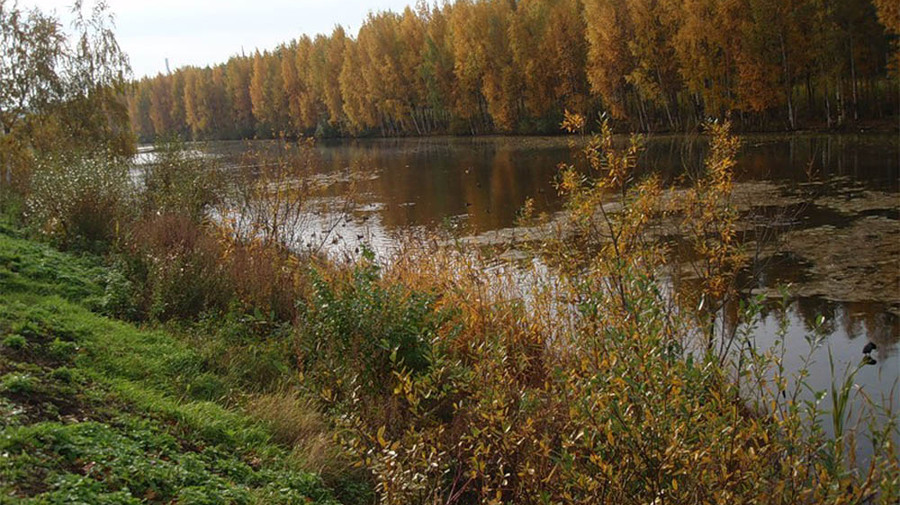 Леса у Юбилейного квартала