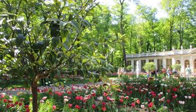 В Летнем саду открыли сезон бесплатных экскурсий 