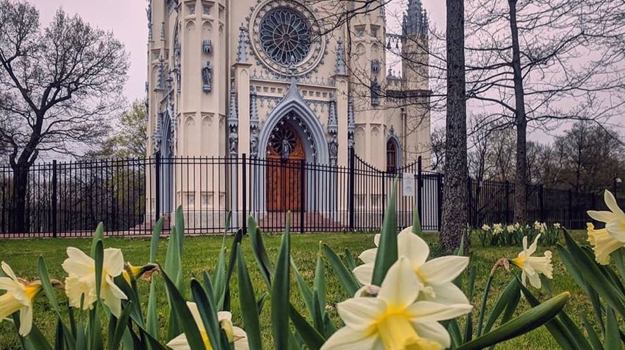 За новыми впечатлениями — в Петергоф