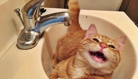 Отключение горячей воды в Петербурге: что важно знать 