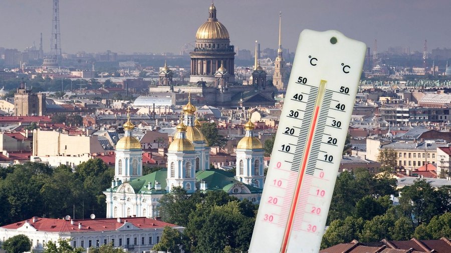 Жара против зебр и электричества