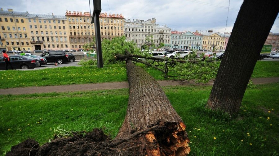 Ураган и погнутые деревья