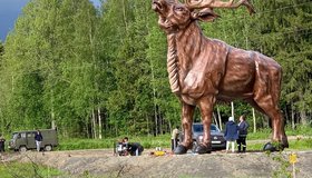 Огромная скульптура оленя появилась на трассе в Карелию 