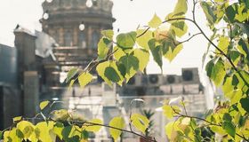 В Jungle Cafe открыли летнюю террасу на крыше с видом на дом «Зингер»